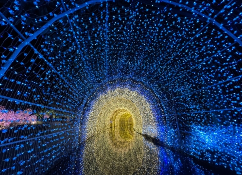 イルミネーション